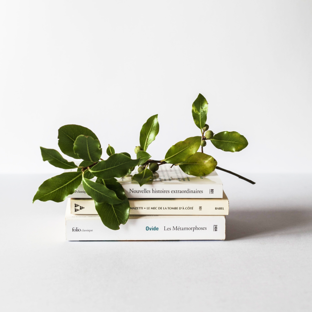 Book as a gift to a teenager: 10 best adventures